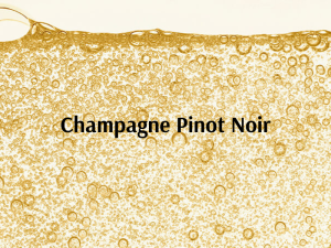 Champagne PN (800 x 600 px)